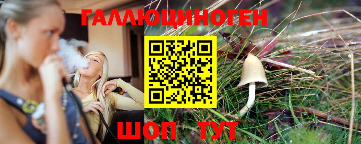 Псилоцибиновые грибы мухоморы Верхняя Пышма