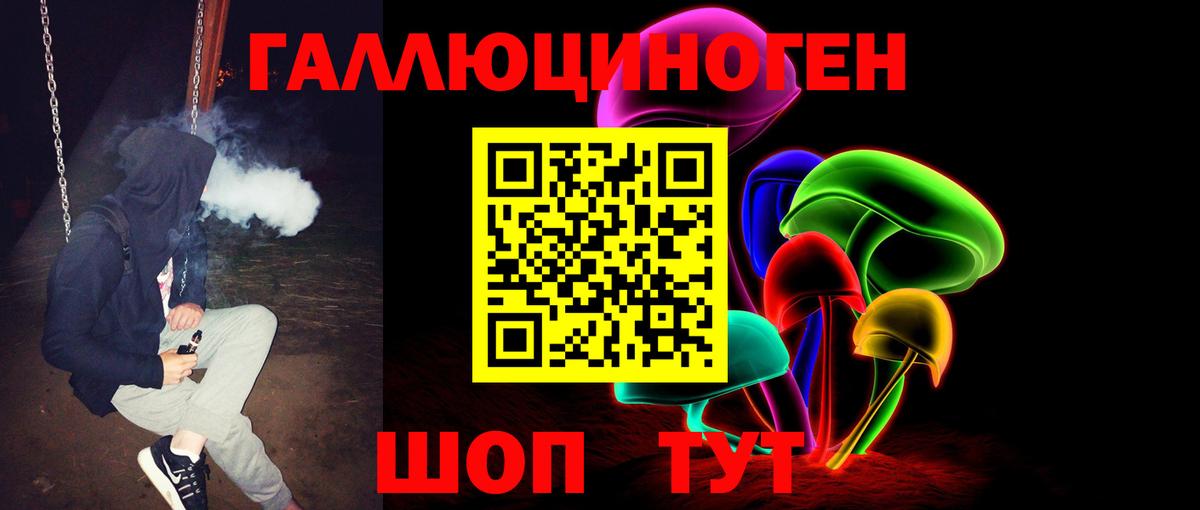 Псилоцибиновые грибы GOLDEN TEACHER  Вход с VPN  Верхняя Пышма  Галлюциногенные грибы Cubensis 